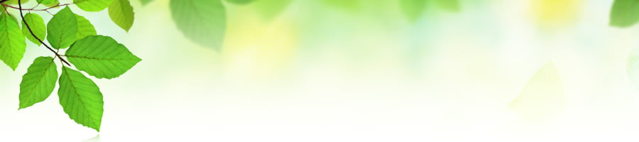 ��������炵���k���`�����Č��E�����x���`